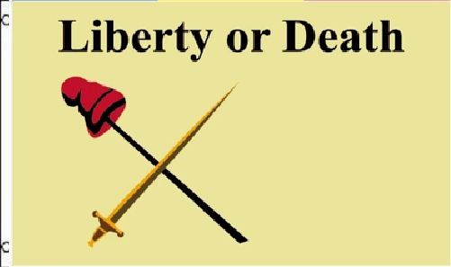 3X5 WHITE PLAINS LIBERTY OF DEATH FLAG BANNER 100D