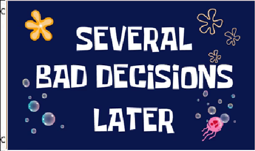 3X5 SEVERAL BAD DECISIONS LATER FLAG BANNER 100D