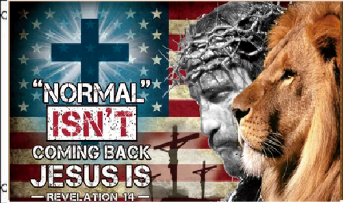 3X5 JESUS CHRIST CROSS LION NORMAL ISN'T COMING BACK REVELATION 14 FLAG BANNER