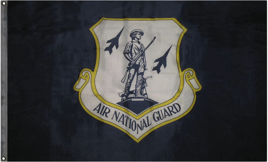 3x5 Air National Guard AIR FORCE Flag 3'x5' House Banner Grommets 100D