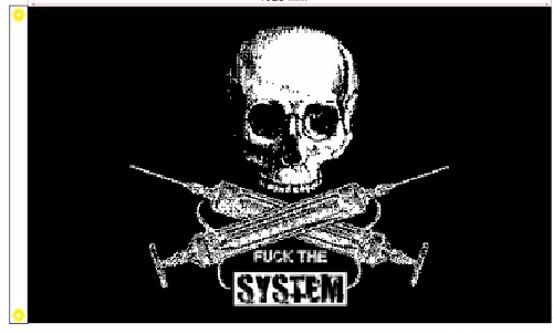 3X5 FK THE SYSTEM PIRATE SKULL NEEDLES INJECTIONS BONES BLACK FLAG BANNER 100D